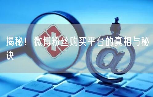 揭秘！微博粉丝购买平台的真相与秘诀