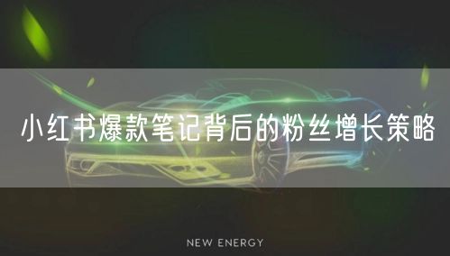 小红书爆款笔记背后的粉丝增长策略