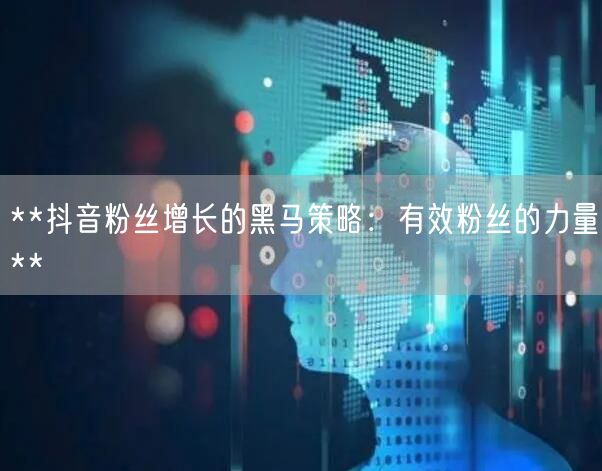 **抖音粉丝增长的黑马策略：有效粉丝的力量**