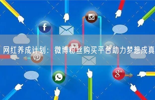 网红养成计划：微博粉丝购买平台助力梦想成真