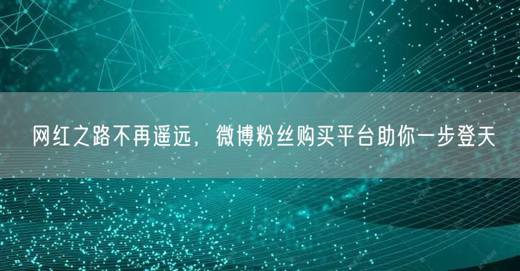 网红之路不再遥远，微博粉丝购买平台助你一步登天