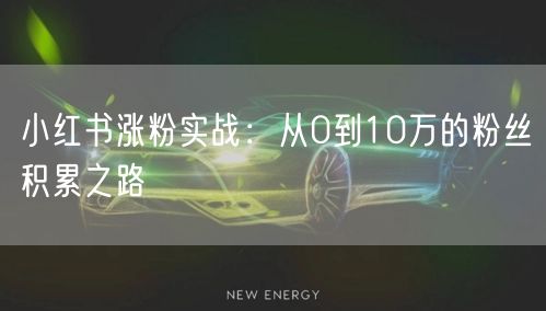 小红书涨粉实战：从0到10万的粉丝积累之路