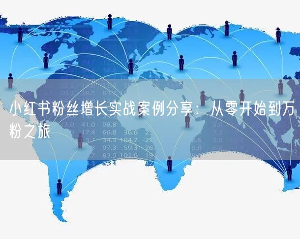 小红书粉丝增长实战案例分享：从零开始到万粉之旅