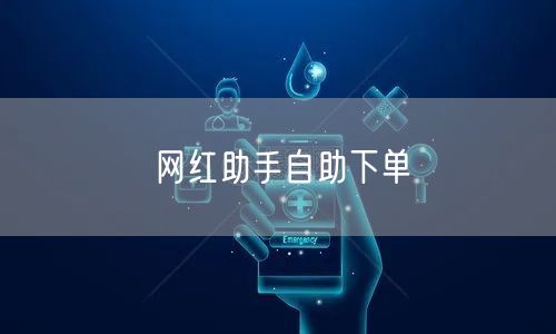 网红助手自助下单