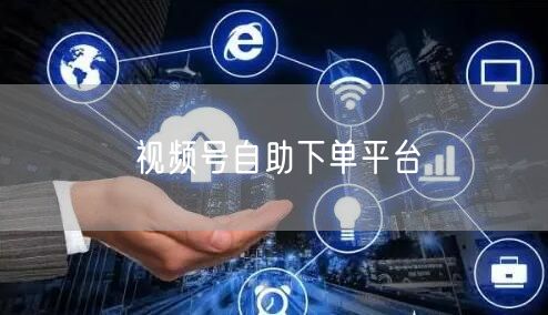 视频号自助下单平台