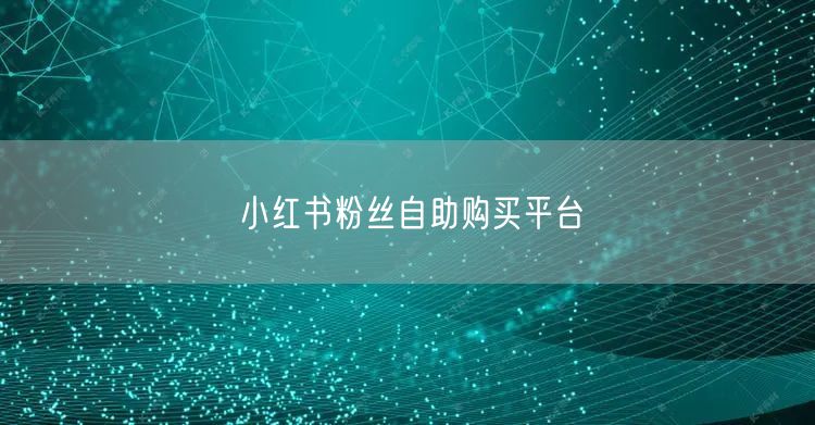 小红书粉丝自助购买平台