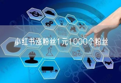小红书涨粉丝1元1000个粉丝