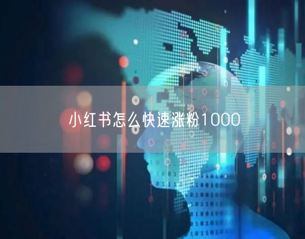 小红书怎么快速涨粉1000