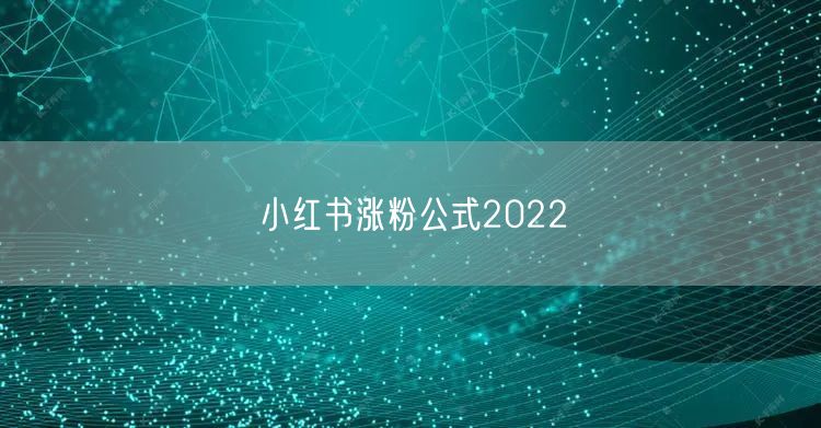 小红书涨粉公式2022