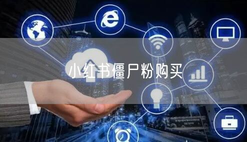 小红书僵尸粉购买