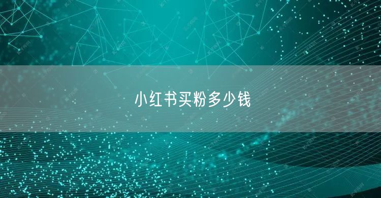 小红书买粉多少钱