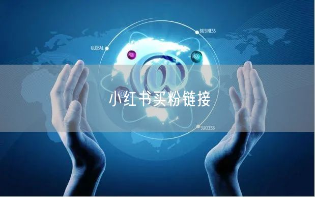 小红书买粉链接