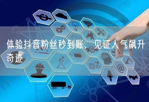 体验抖音粉丝秒到账，见证人气飙升奇迹