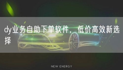 dy业务自助下单软件，低价高效新选择
