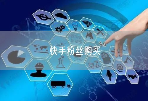 快手粉丝购买