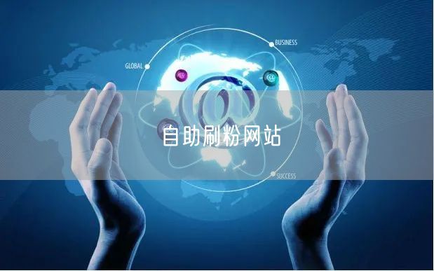自助刷粉网站