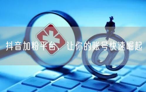 抖音加粉平台，让你的账号快速崛起