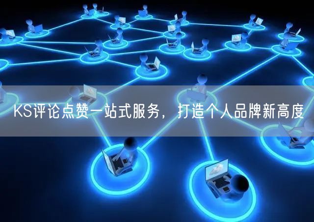 KS评论点赞一站式服务，打造个人品牌新高度
