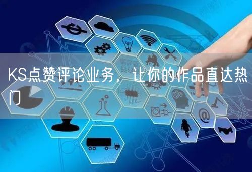KS点赞评论业务，让你的作品直达热门