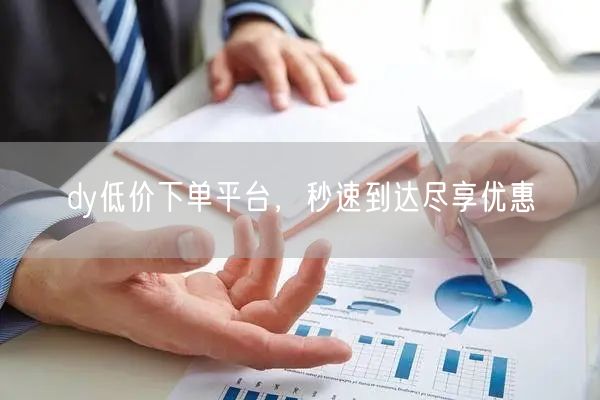 dy低价下单平台，秒速到达尽享优惠