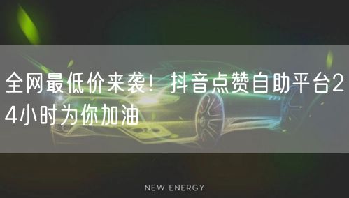 全网最低价来袭！抖音点赞自助平台24小时为你加油