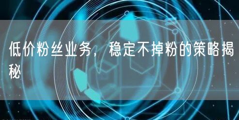 低价粉丝业务，稳定不掉粉的策略揭秘