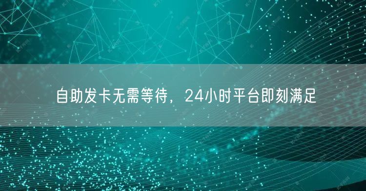 自助发卡无需等待，24小时平台即刻满足