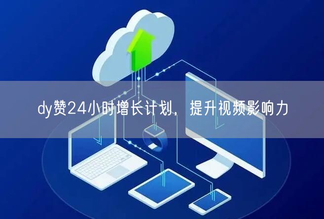 dy赞24小时增长计划，提升视频影响力