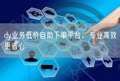 dy业务低价自助下单平台，专业高效更省心