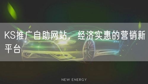 KS推广自助网站，经济实惠的营销新平台