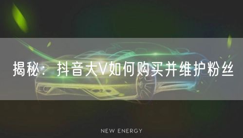 揭秘：抖音大V如何购买并维护粉丝