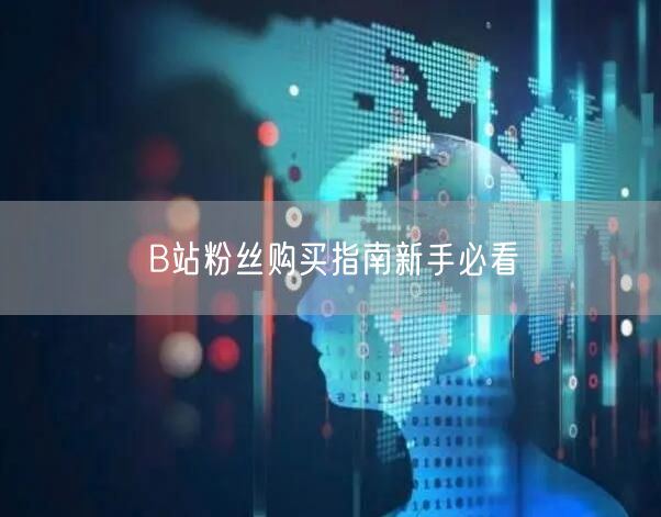 B站粉丝购买指南新手必看