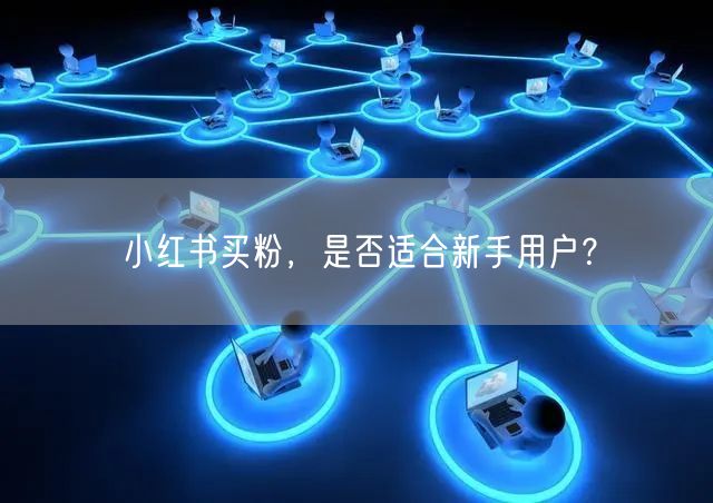 小红书买粉，是否适合新手用户？