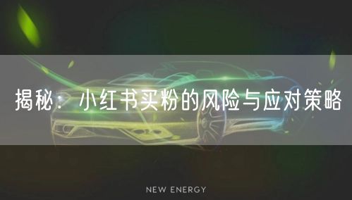 揭秘：小红书买粉的风险与应对策略