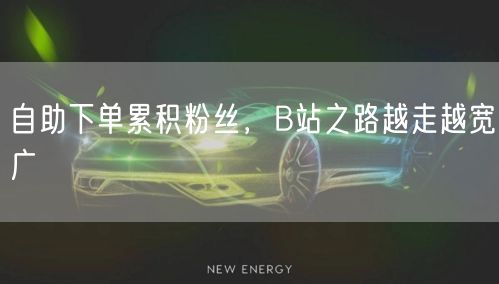 自助下单累积粉丝，B站之路越走越宽广