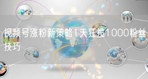 视频号涨粉新策略1天狂揽1000粉丝技巧