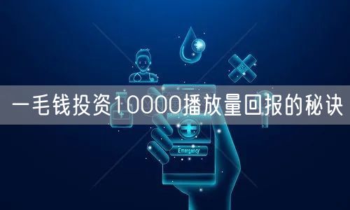 一毛钱投资10000播放量回报的秘诀