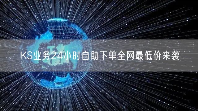 KS业务24小时自助下单全网最低价来袭