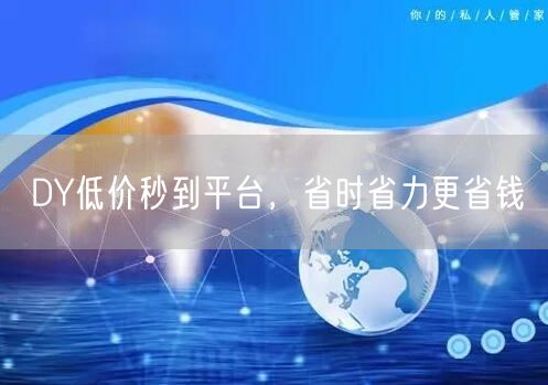 DY低价秒到平台，省时省力更省钱