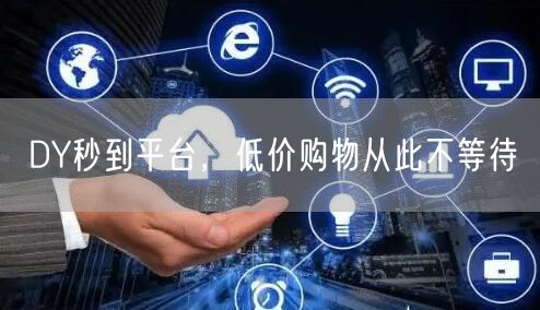 DY秒到平台，低价购物从此不等待