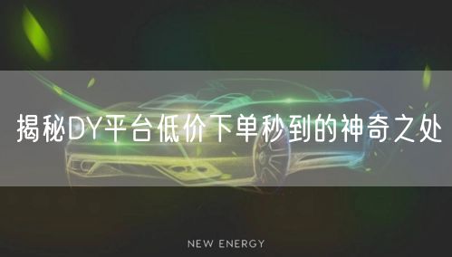 揭秘DY平台低价下单秒到的神奇之处