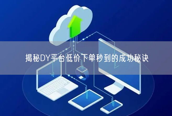 揭秘DY平台低价下单秒到的成功秘诀