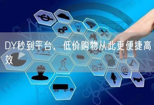 DY秒到平台，低价购物从此更便捷高效