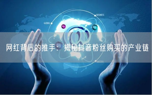 网红背后的推手：揭秘抖音粉丝购买的产业链