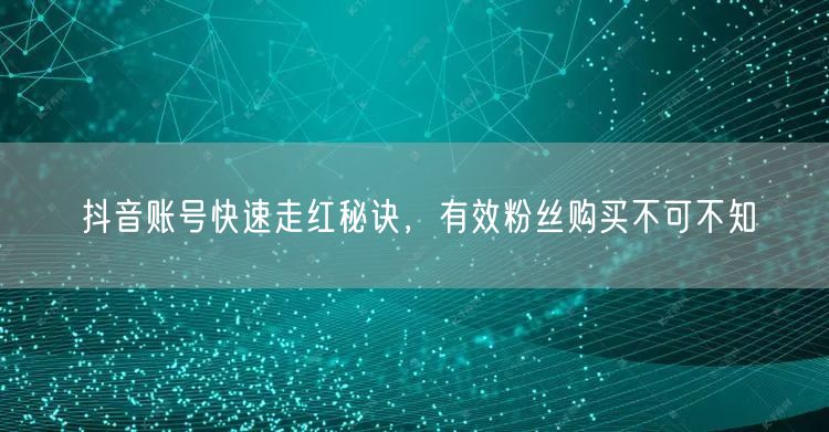 抖音账号快速走红秘诀，有效粉丝购买不可不知