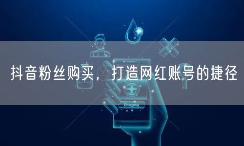 抖音粉丝购买，打造网红账号的捷径