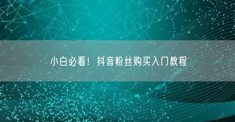 小白必看！抖音粉丝购买入门教程