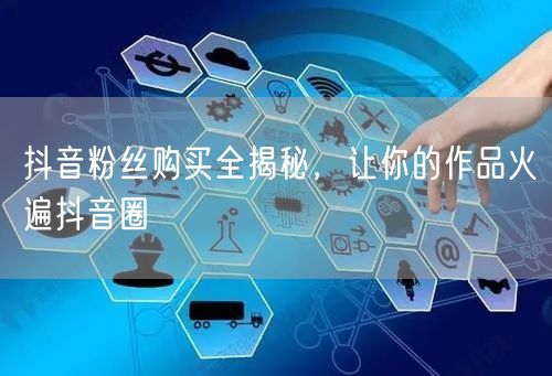 抖音粉丝购买全揭秘，让你的作品火遍抖音圈