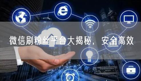 微信刷粉丝平台大揭秘，安全高效