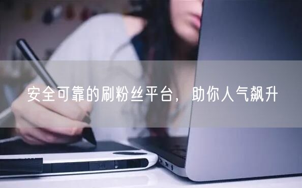 安全可靠的刷粉丝平台，助你人气飙升